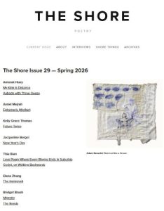 The Shore Issue 29 cover image