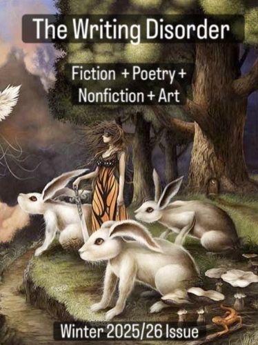 The Writing Disorder Winter 2025/26 literary magazine cover image