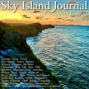 Sky Island Journal Spring 2026 Issue 35 literary magazine cover image