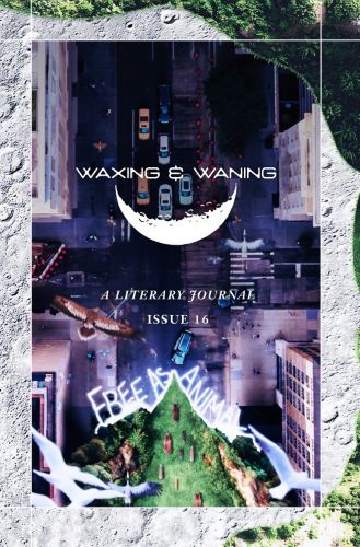Waxing & Waning Issue 16 literary magazine cover image