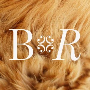 Bear Review online literary magazine logo image