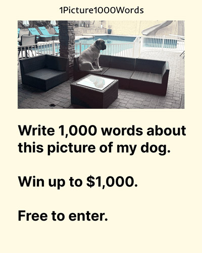 Promotional graphic for the 1Picture1000Words writing contest featuring a dog sitting on an outdoor sectional sofa beside a swimming pool. Text reads: “Write 1,000 words about this picture of my dog. Win up to $1,000. Free to enter.”